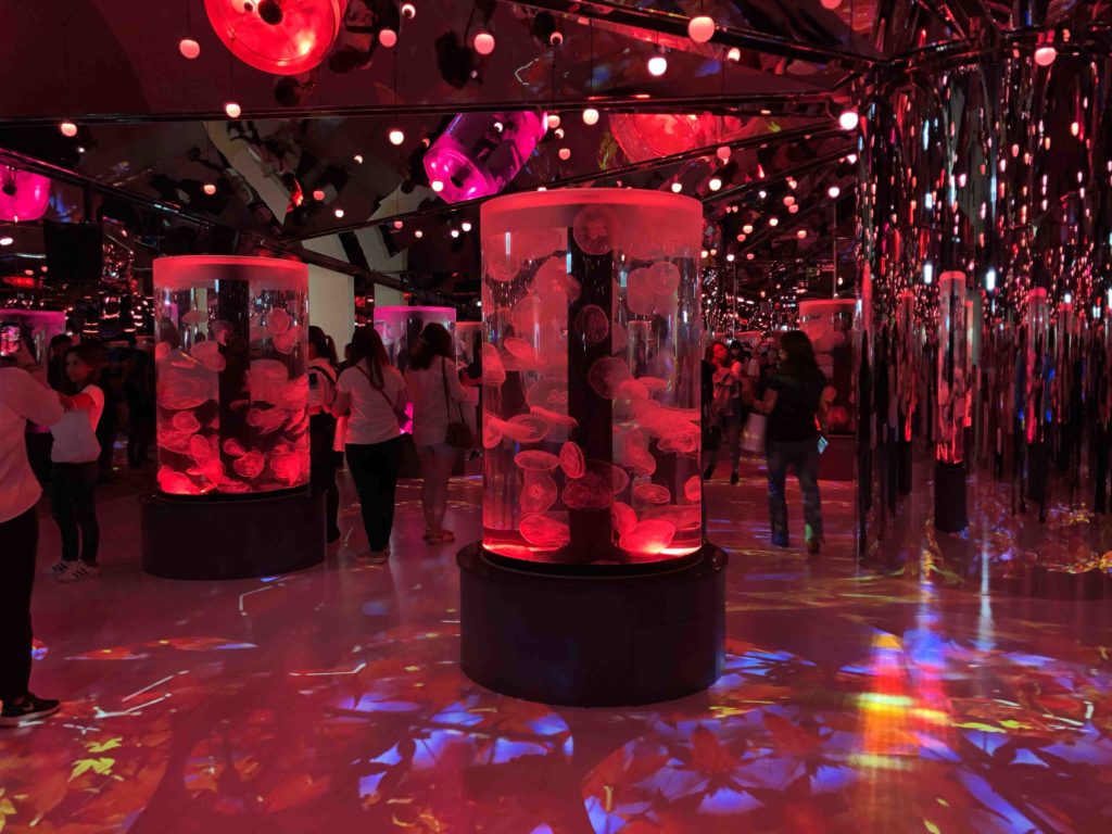 x park 2 旅遊咖幫你實現夢想旅行