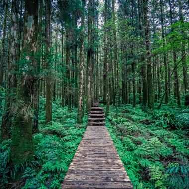 明池國家森林公園