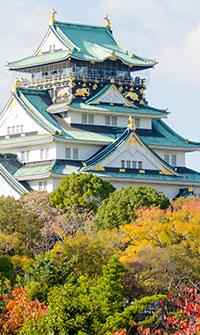 京阪奈良楓紅5日